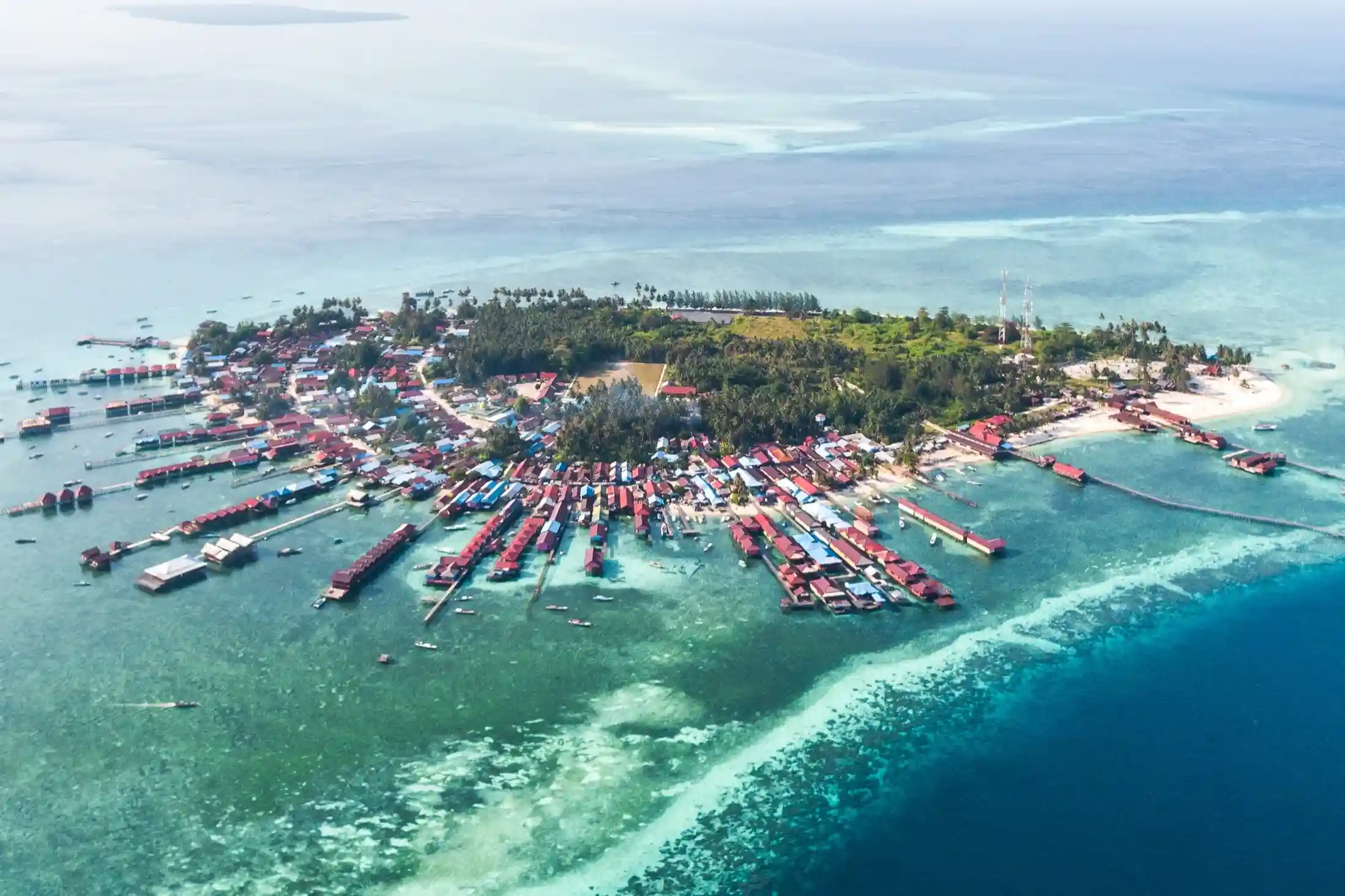 Kepulauan Derawan: Penyu Laut dan Terumbu Karang Langka