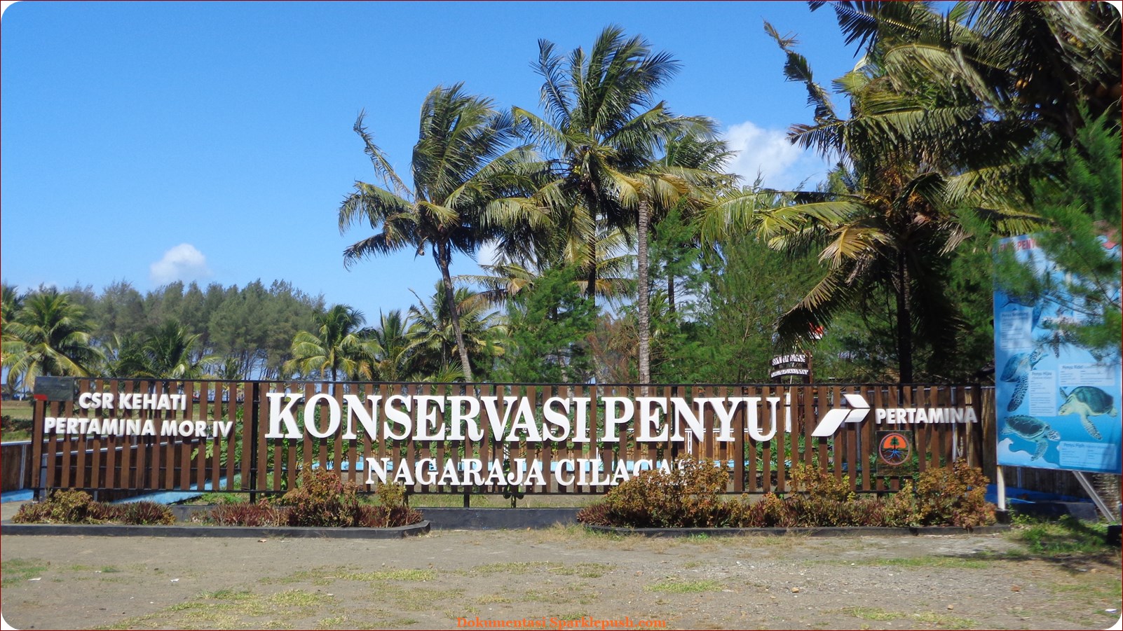 Penangkaran Penyu di Pantai Cilacap