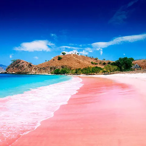 Kontroversi  Pulau Padar