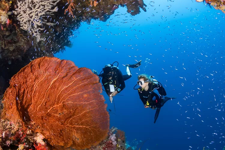 5 Wisata Bahari 2025: Destinasi Pantai Terpopuler untuk Liburan Gen Z