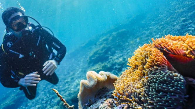 Nautical Lifestyle Indonesia 2025: Panduan Lengkap Liveaboard Raja Ampat Diving untuk Gen Z