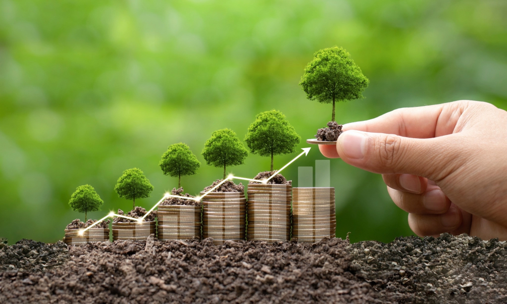 Ecotourism Bali Panduan Sustainable Travel 2025 Gen Z