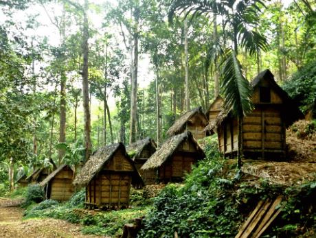 Seba Baduy 2026: Tradisi Menjaga Alam dan Menyapa Kekuasaan