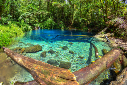 Danau Kaco